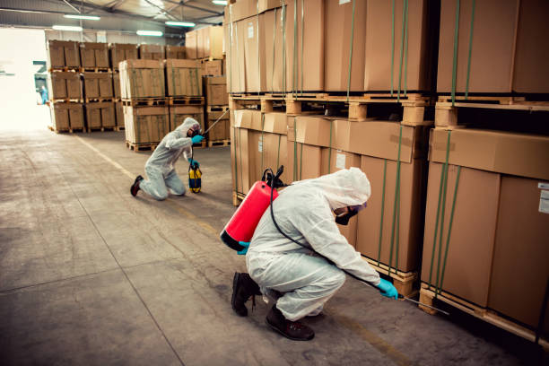 Best Affordable Pest Control Services  in Hemet, CA
