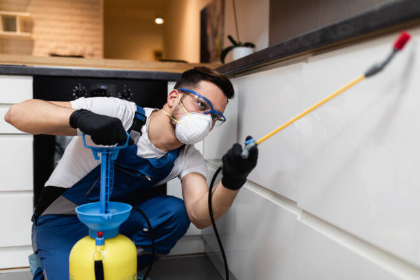 Hemet, CA Pest Control Company