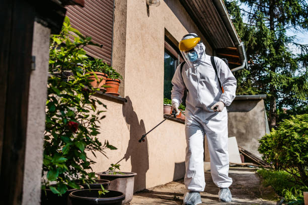 Best Bed Bug Extermination  in Hemet, CA