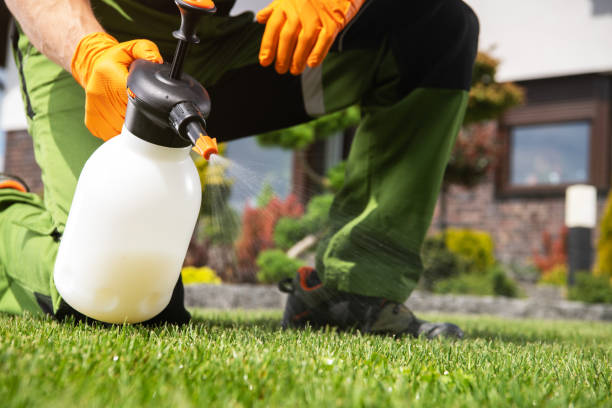 Best Pest Inspection Near Me  in Hemet, CA