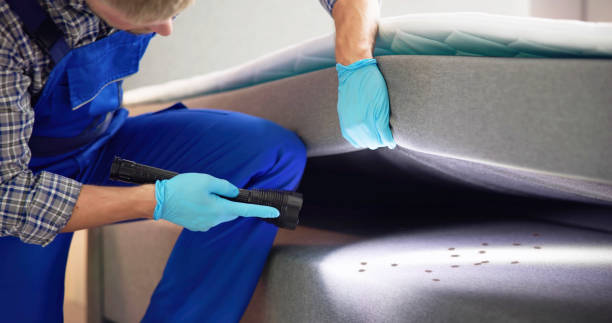 Best Rat Extermination Near Me  in Hemet, CA