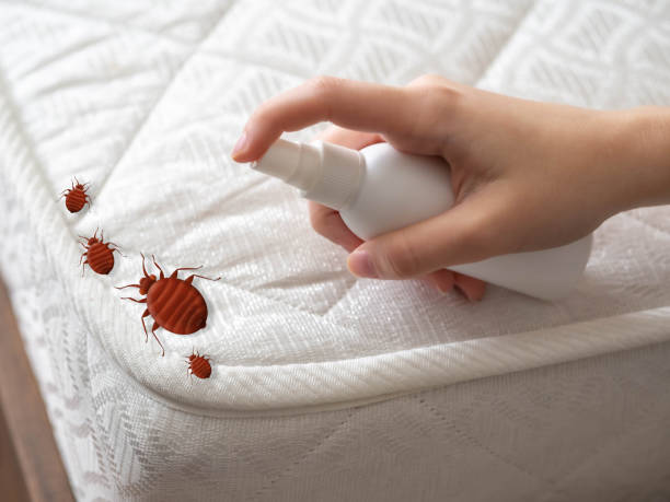 Best Exterminator Services  in Hemet, CA